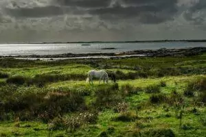 Connemara