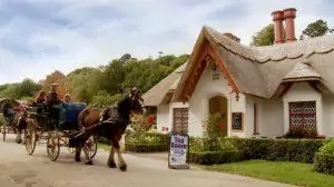 Killarney on Horse & Carriage: Jaunting Car Tour