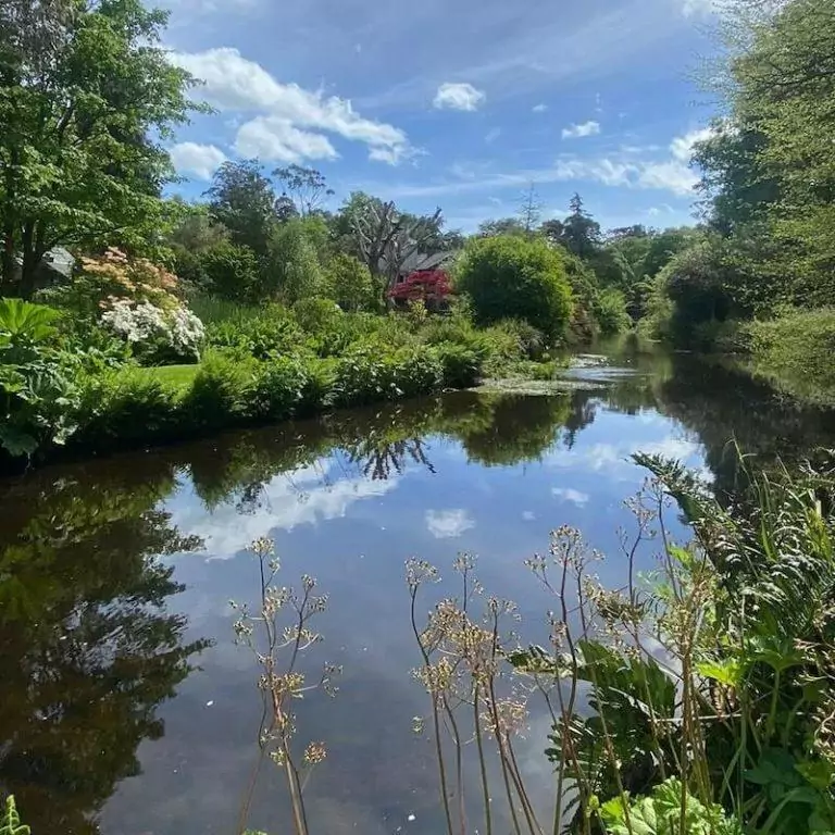 Mount Usher Gardens