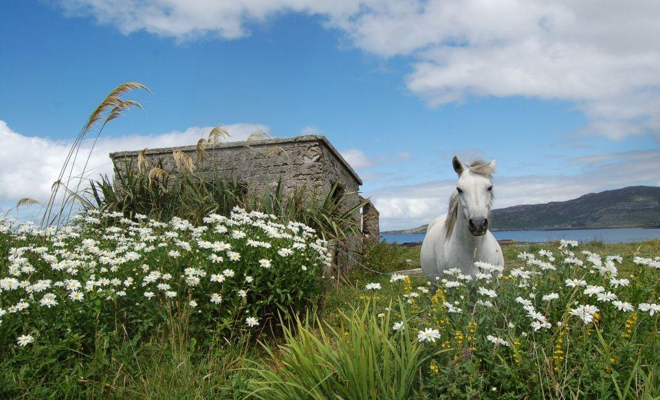 Clifden