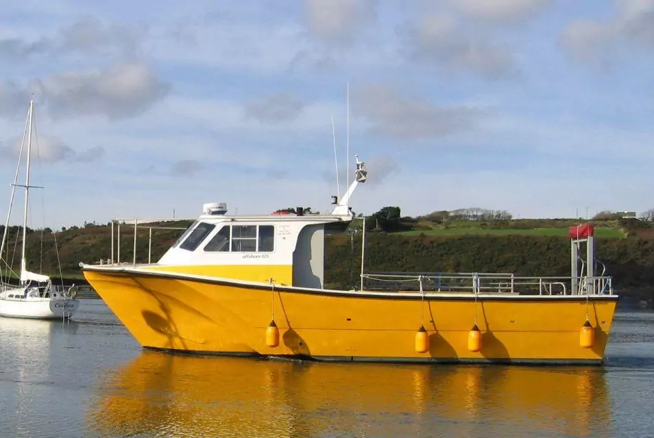 Whale & Dolphin Watching Boat Trip