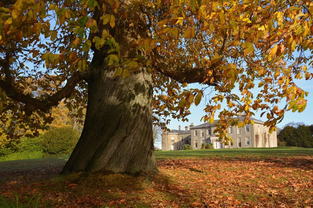 Ireland in October