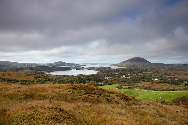 Galway: Scenic Cruise of Corrib River and Lake